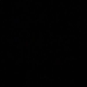 Meet your Posher, Carter